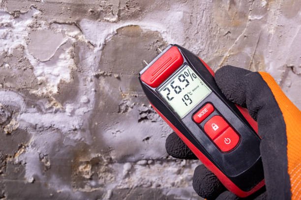 Best Office Mold Removal Services  in Rossville, IN