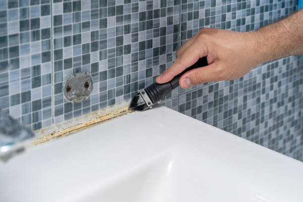 Best Professional Mold Removal  in Rossville, IN