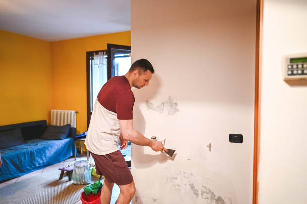 Best Water Damage Restoration  in Rossville, IN
